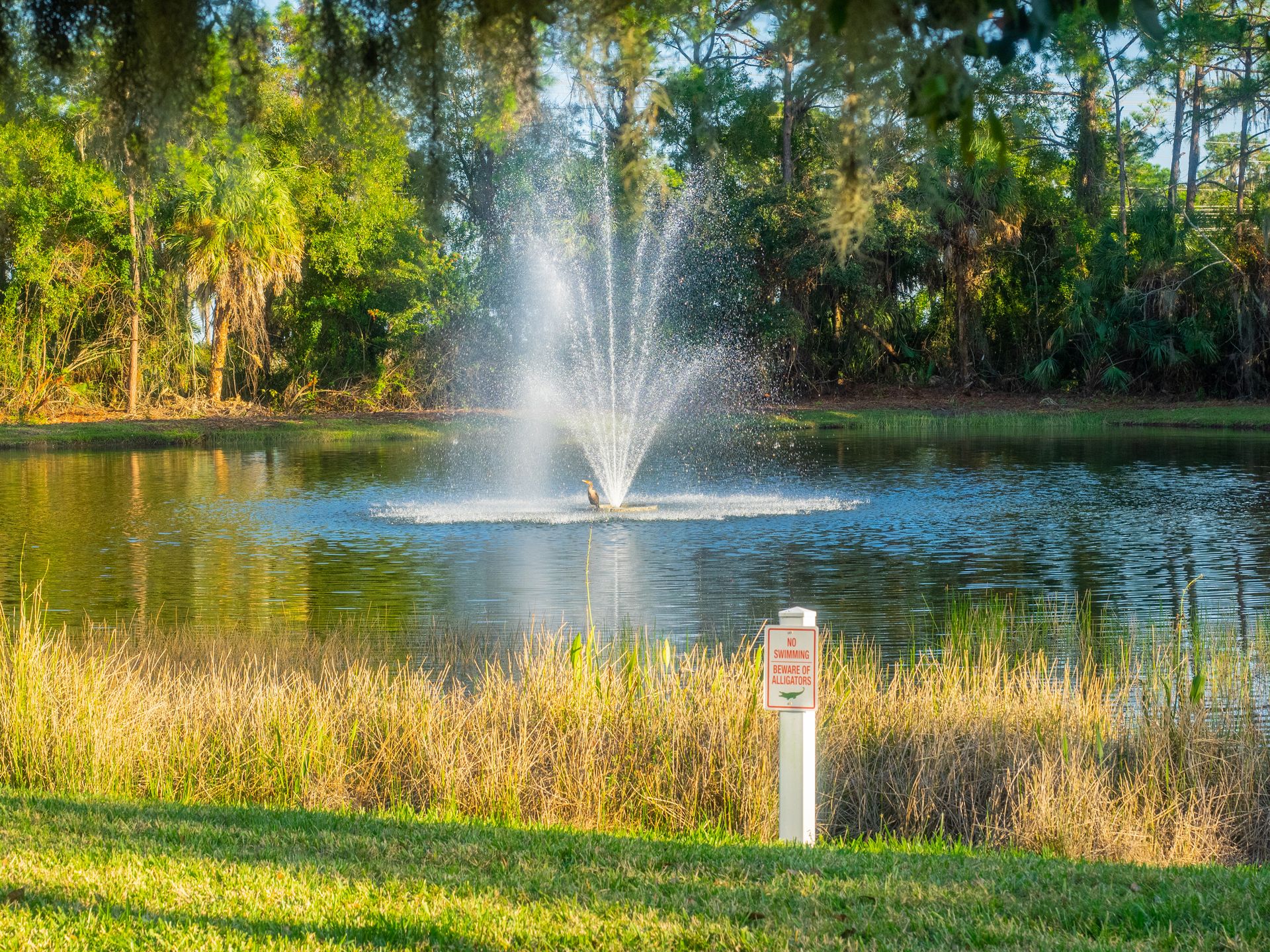 Retention ponds are man-made structures designed to collect excess stormwater