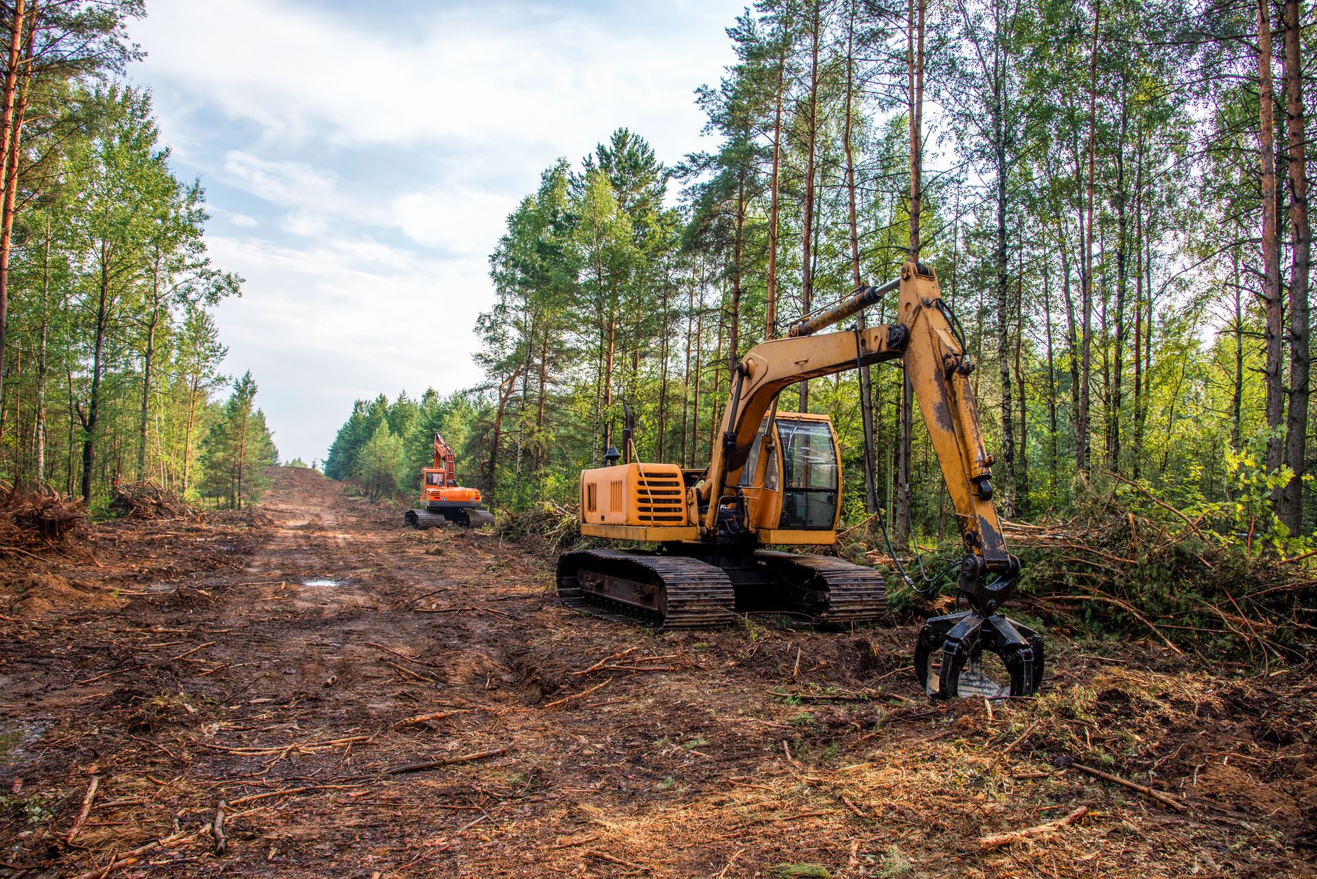 What Is the Cost of Land Clearing? Factors to Consider