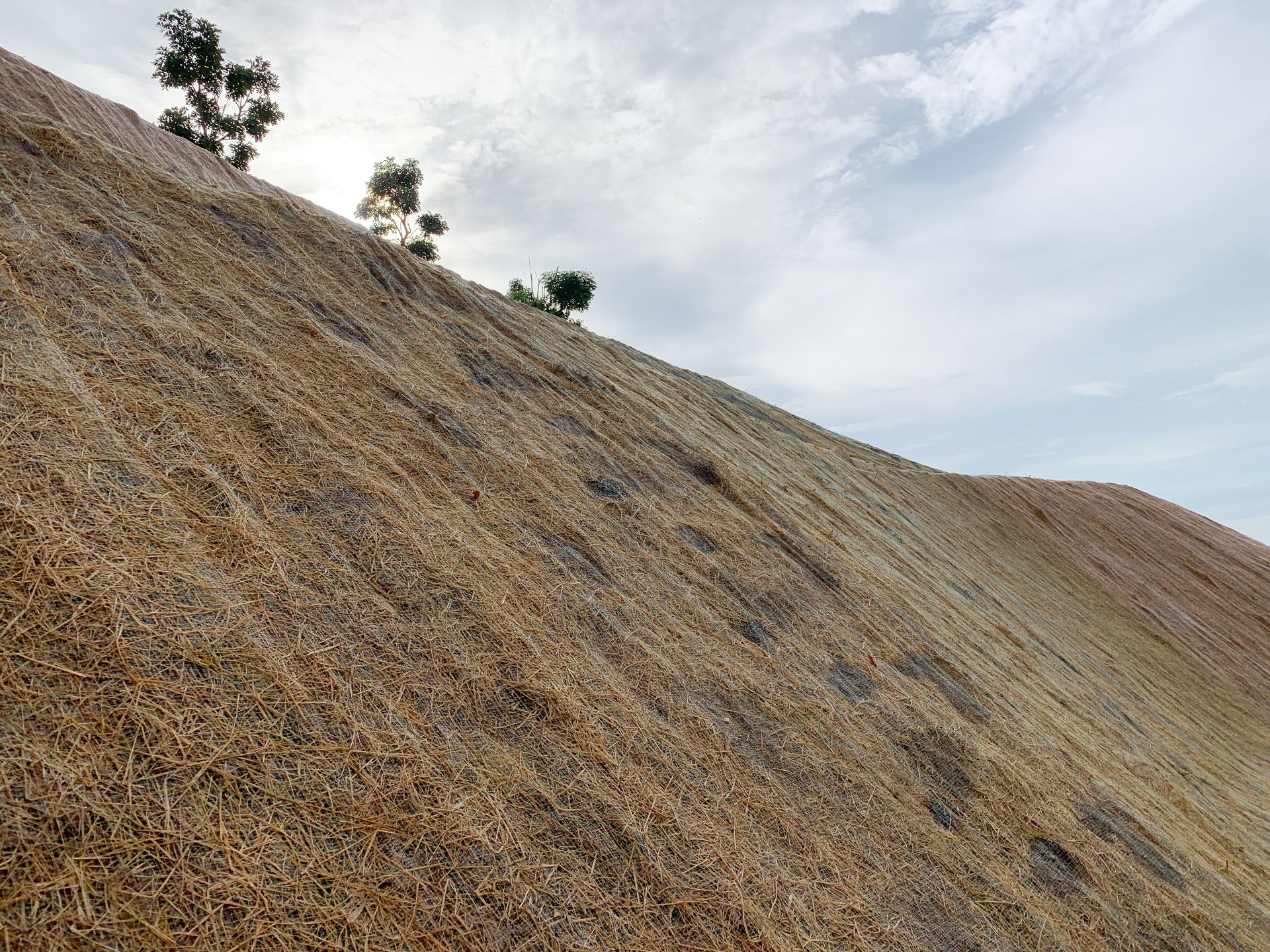 Proper erosion control is essential for limiting the amount of pollution