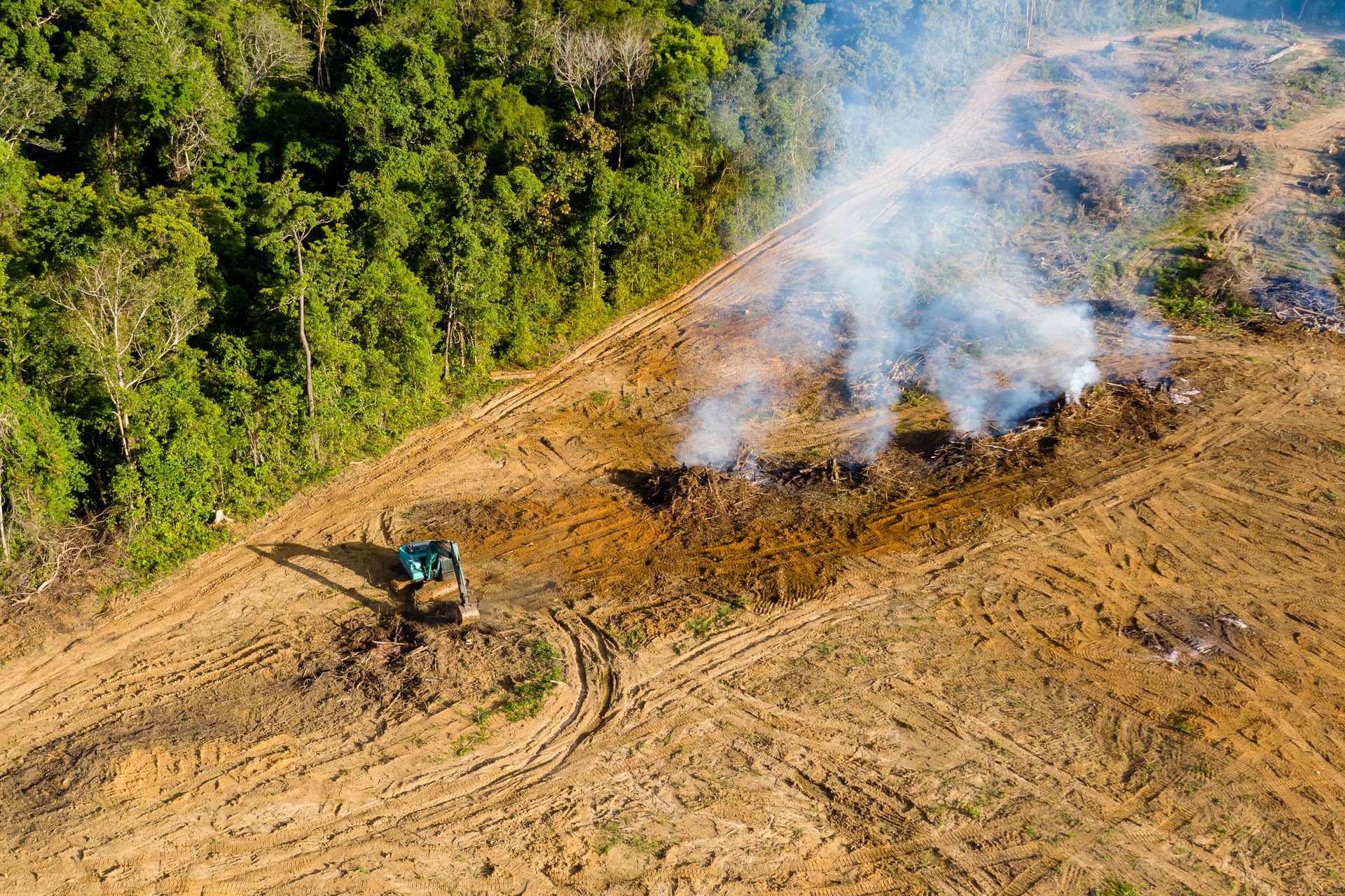 land clearing can be done sustainably by incorporating environmentally friendly practices