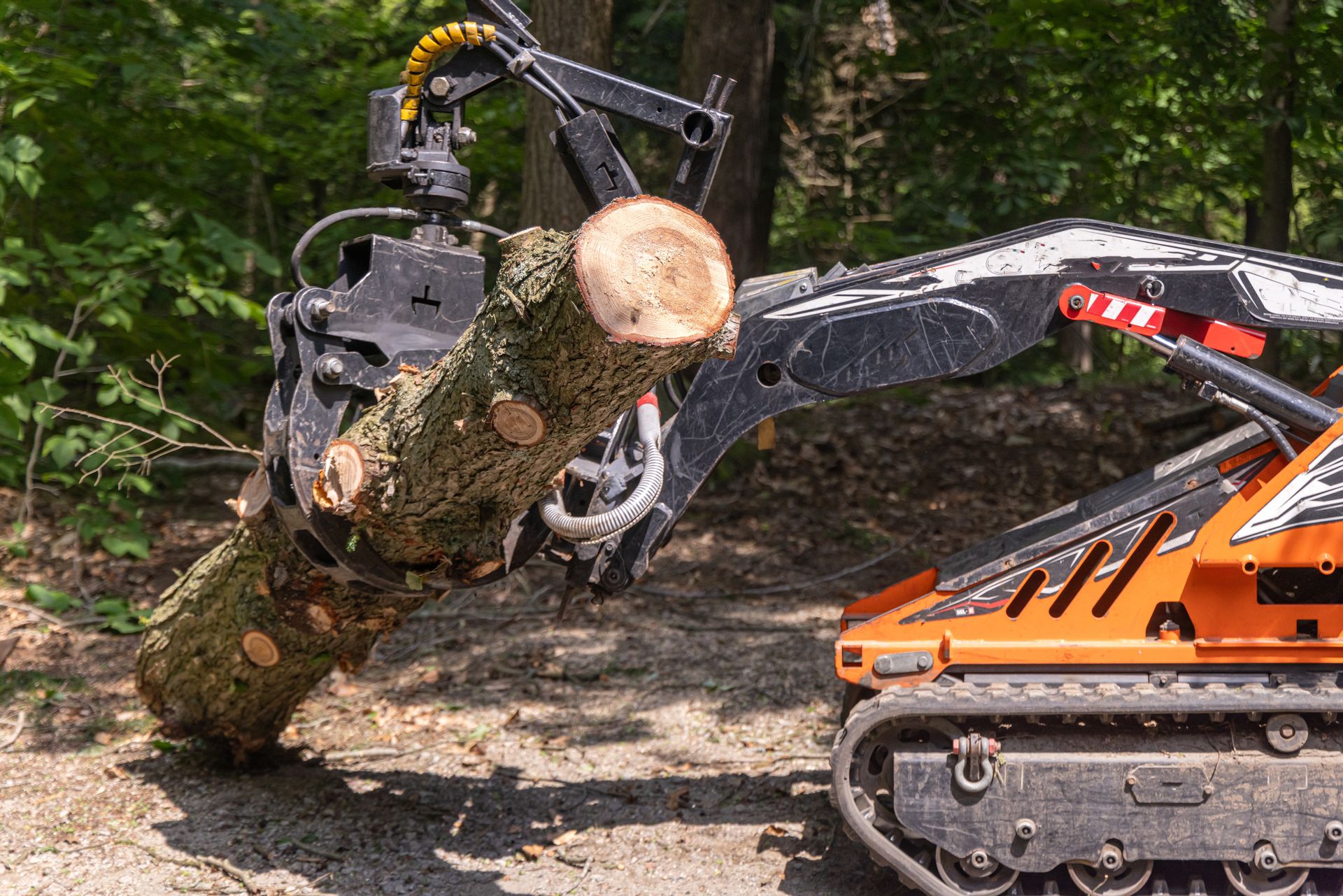 Bobcat Services: 7 Benefits of Professional Skid Steer Services