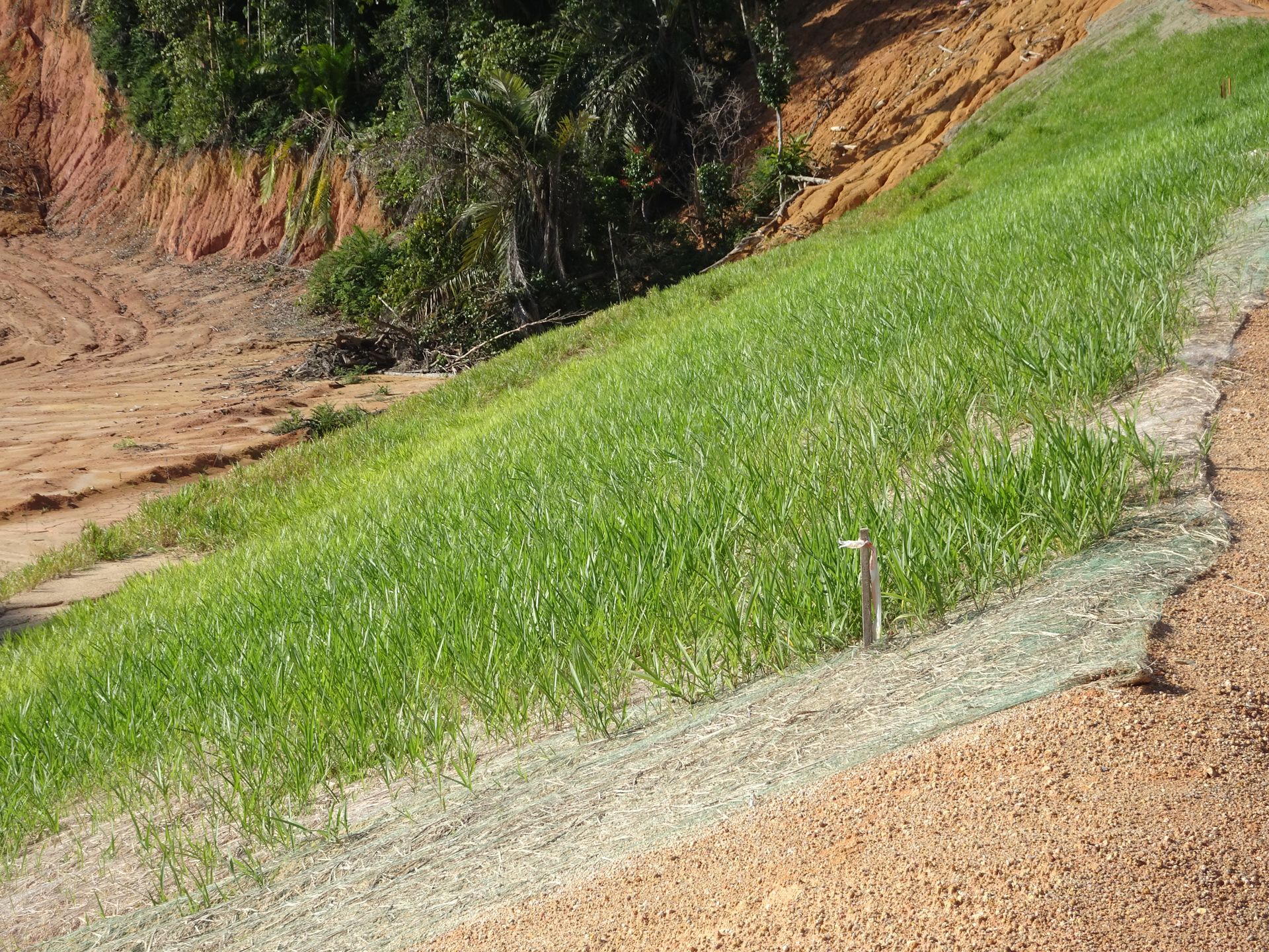 Erosion Control 101: Seed & Straw Mulch