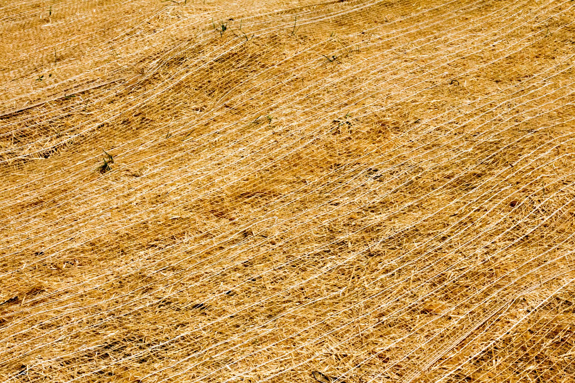 How Does Curlex Compare to Straw for Erosion Control?