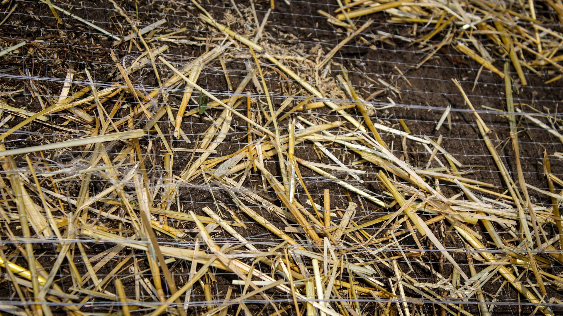 What Are Erosion Control Blankets? Here’s How to Choose the Right One