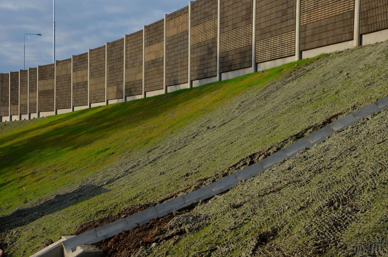 The Role of Vegetative Buffers in Stormwater Pollution Prevention