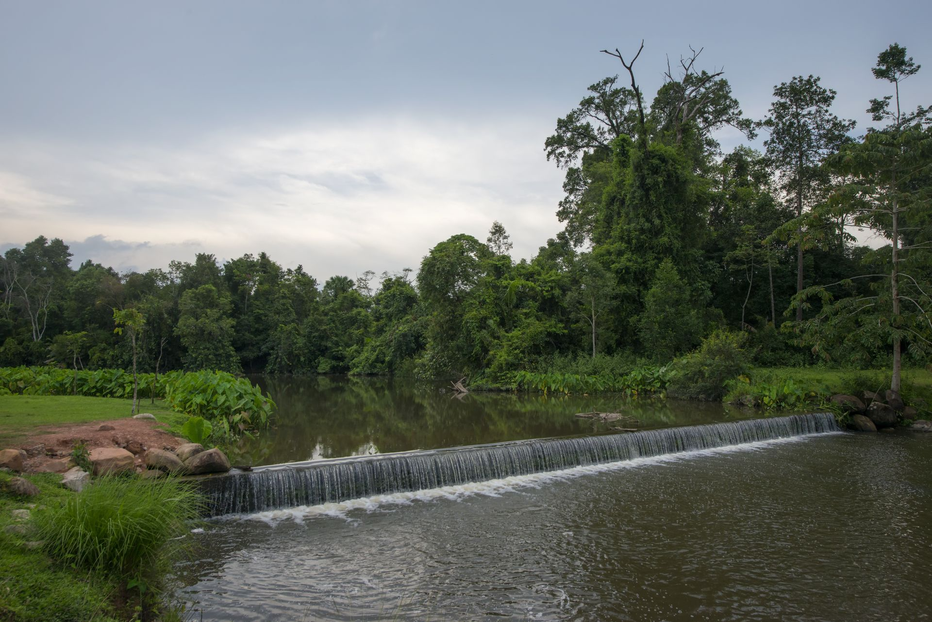 How to Use Check Dams to Control Runoff Velocity